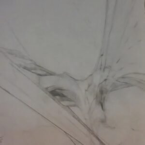 Growth8.5x11graphite