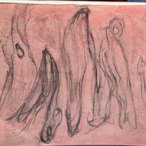 Sedition14x11graphite